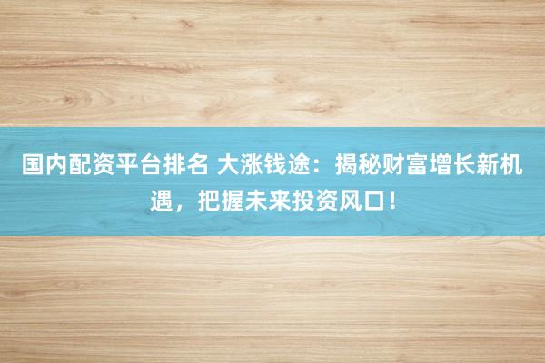 国内配资平台排名 大涨钱途：揭秘财富增长新机遇，把握未来投资风口！