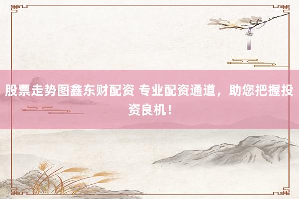 股票走势图鑫东财配资 专业配资通道，助您把握投资良机！