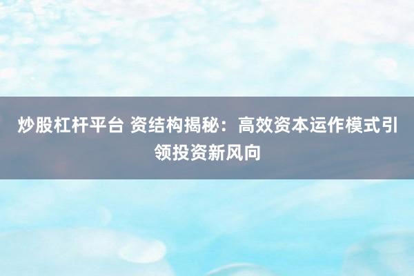 炒股杠杆平台 资结构揭秘：高效资本运作模式引领投资新风向