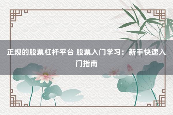 正规的股票杠杆平台 股票入门学习：新手快速入门指南