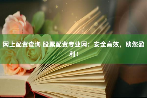 网上配资查询 股票配资专业网：安全高效，助您盈利！