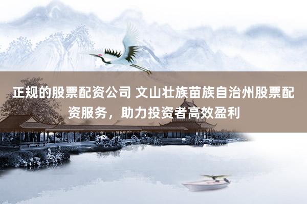 正规的股票配资公司 文山壮族苗族自治州股票配资服务，助力投资者高效盈利