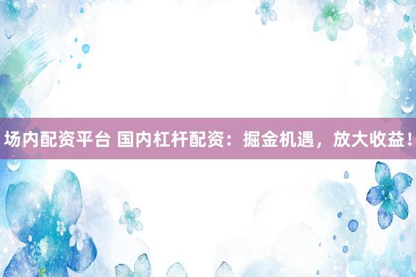 场内配资平台 国内杠杆配资：掘金机遇，放大收益！