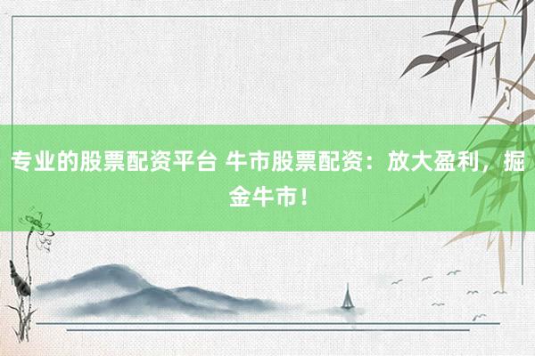 专业的股票配资平台 牛市股票配资：放大盈利，掘金牛市！