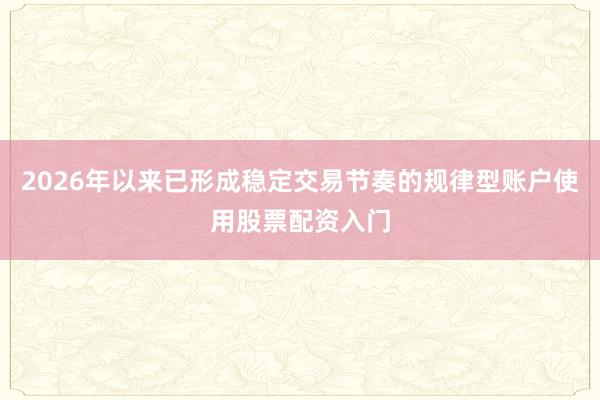 2026年以来已形成稳定交易节奏的规律型账户使用股票配资入门