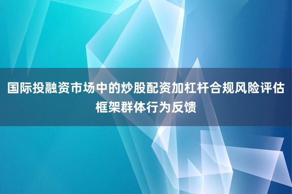 国际投融资市场中的炒股配资加杠杆合规风险评估框架群体行为反馈