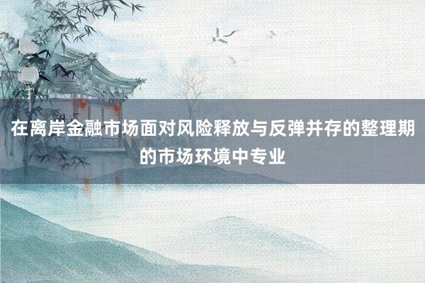 在离岸金融市场面对风险释放与反弹并存的整理期的市场环境中专业