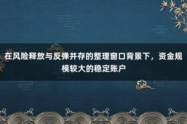 在风险释放与反弹并存的整理窗口背景下，资金规模较大的稳定账户