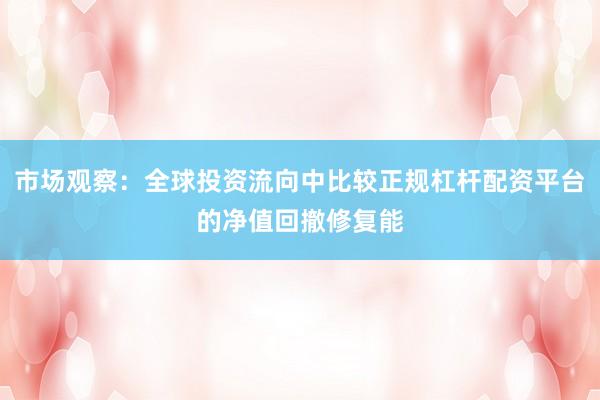 市场观察：全球投资流向中比较正规杠杆配资平台的净值回撤修复能